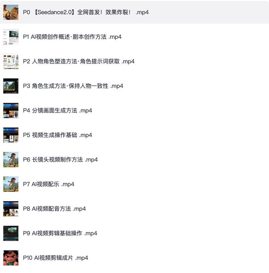 Seedance2.0保姆级教程5套合集，从入门到精通的最全攻略