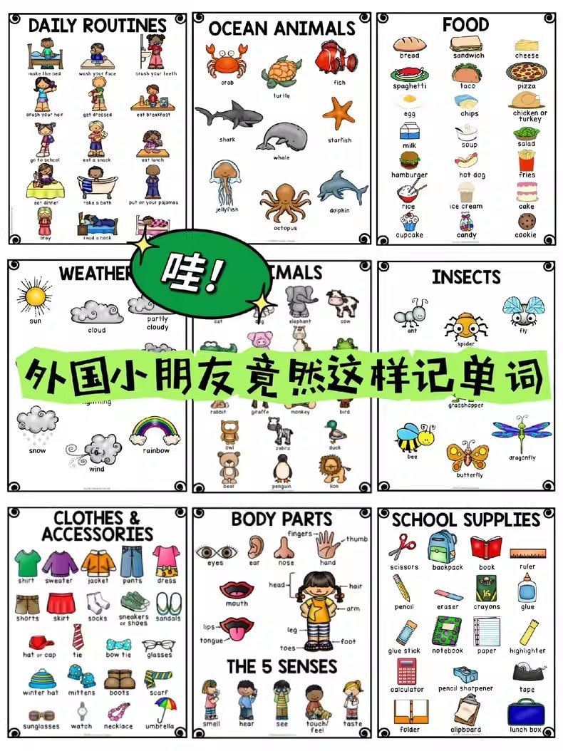 【B191】单词银行