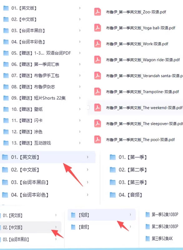 B-布鲁伊动画片