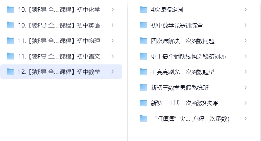 袁辅导