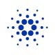 Cardano